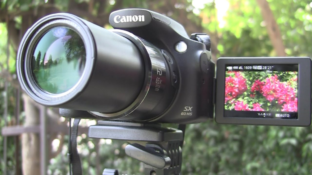 Canon SX60 HS Review - Macro and Video Capabilities demonstrated