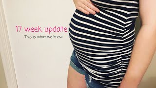 17 week pregnancy update | more confusing news