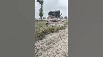 The process of cutting grass- Good tools and machinery make work easy