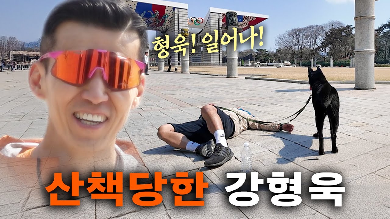션님에게 산책으로 참교육 당한 강형욱 [산책 챌린지 특별 이벤트]