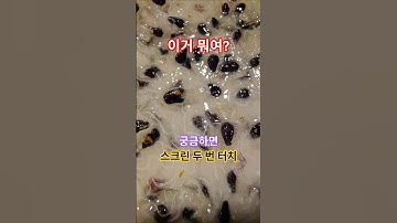 이거 뭐여?