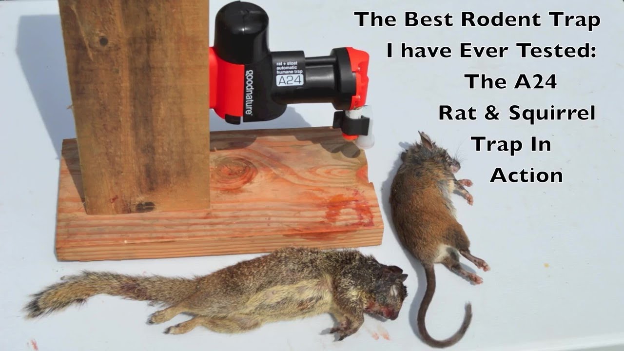 Goodnature Rat & Mouse Home Trapping Kit A24 - Pest Control, Goodnature