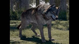 Wolf (Far Cry 5) Sounds