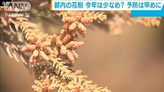 東京都が「花粉飛散予測」公表　飛ぶ量やや減少か(20/01/21)