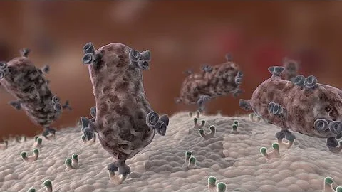 Antibody Immune Response #shorts - DayDayNews