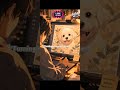 POV: You turned your pet into a beautiful digital portrait 🐶✨