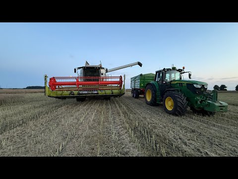 Harvest kick-off 2026!!! The rapeseed isn't looking too great.