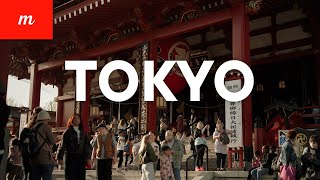TOKYO Ambient | Sensoji Temple during 🌸the Cherry Blossoms Viewing Season
