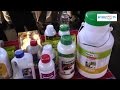 Stanex drugs  chemicals dairy show  hybiztv