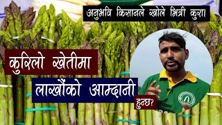 चितवनमा कुरिलो खेती कति सफल ? Kurilo Kheti in Nepal |  Suman Subedi  | Paurakhi TV