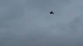 Second Flight Xp 67 Moonbat