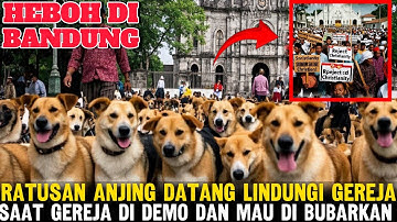 BANDUNG HEBOH‼️Ratusan Anjing Ajaib Lindungi Gereja dari Massa! Pendeta Berdoa,Desa Takut & Bertobat