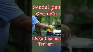 Gendut ora cetho ||  #wokochannel #komedi #komedilucu #komedijawa #hiburanwoko channel Woko channel