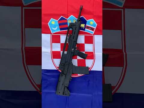 Springfield Hellion VHS-2