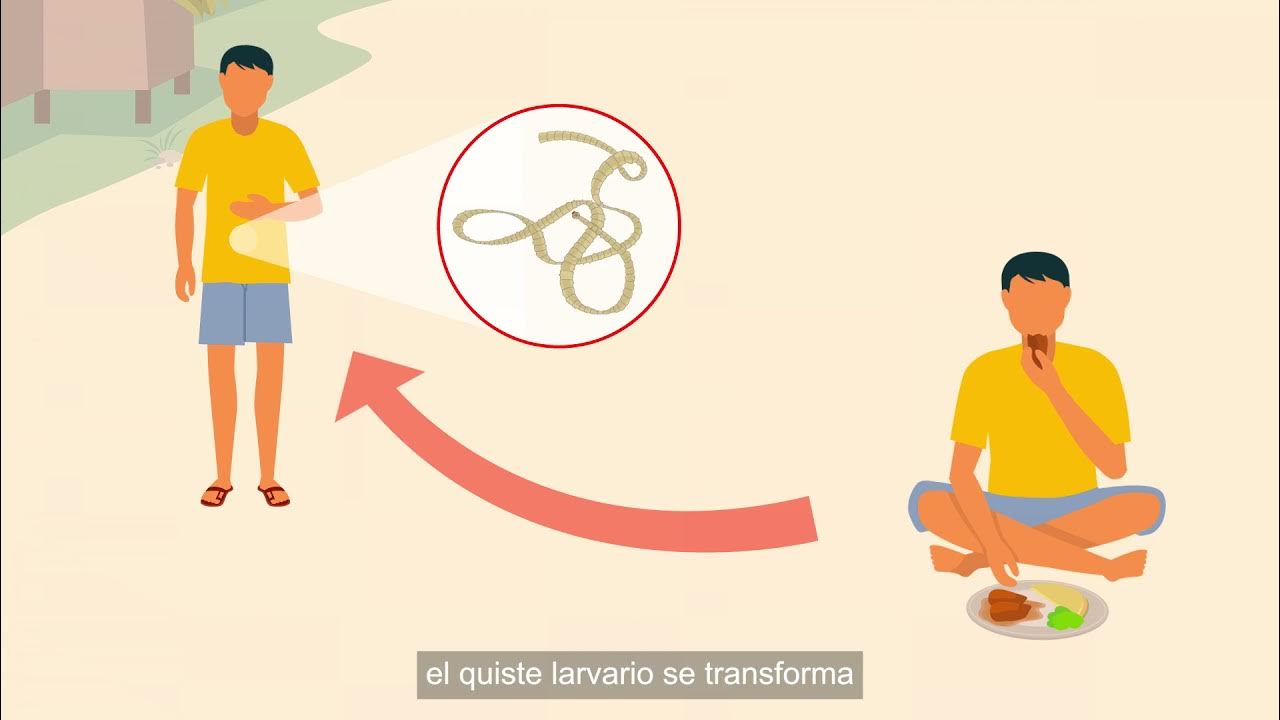A One Health Approach to Tackling the Pork Tapeworm (Spanish) YouTube