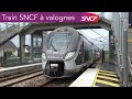 Train sncf  valognes