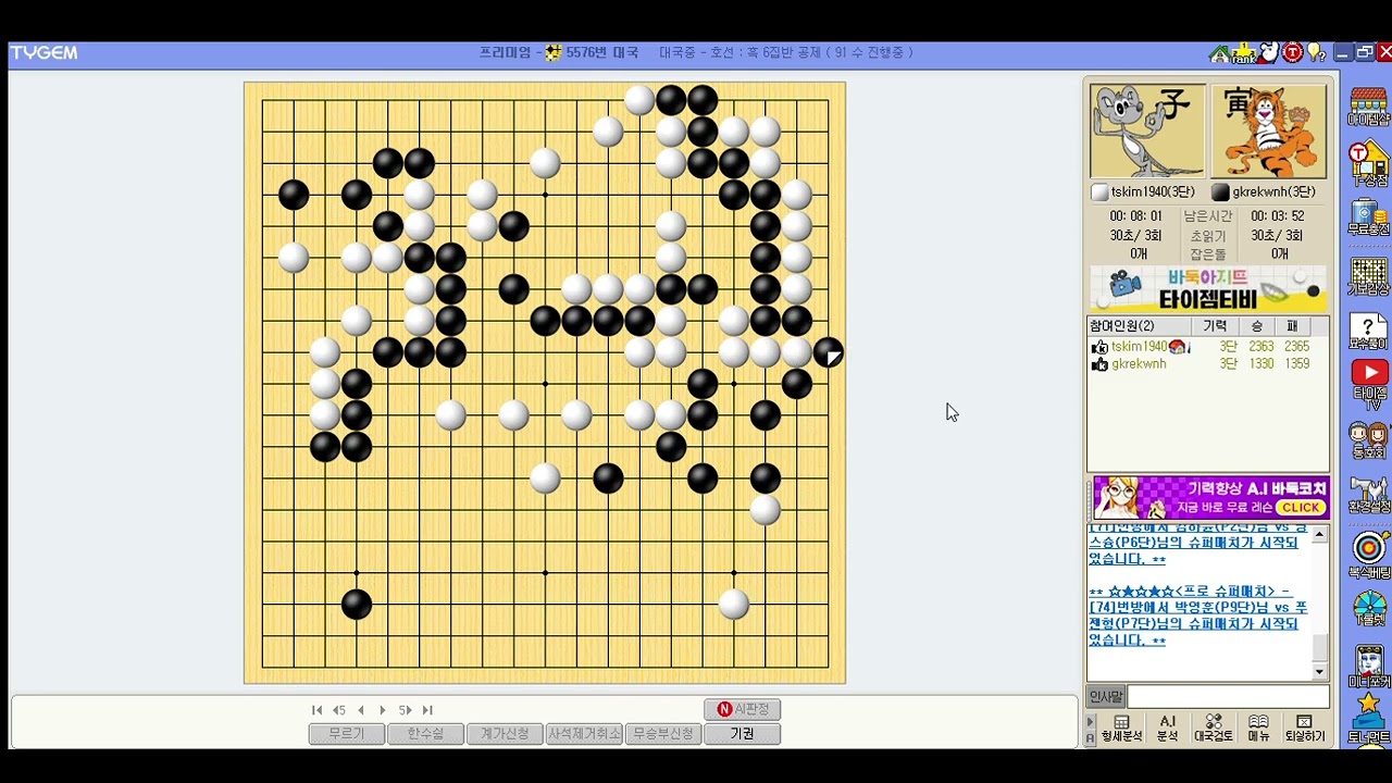 타이젬 바둑 2