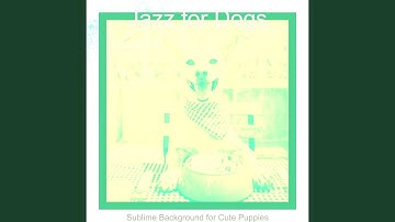 Groovy Moods for Relaxing Pups