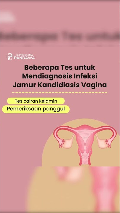 BBW ulkan fohishalar surati