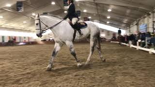 2019 IHSA Mount Holyoke Show. Intermediate Flat w/ Vinny