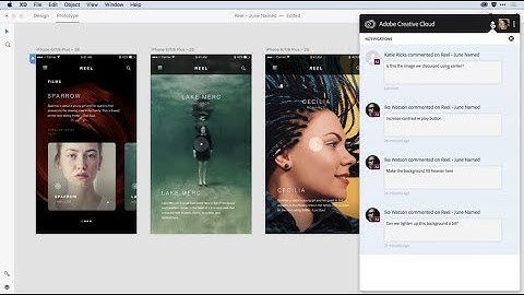 Private Prototype and Design Spec Sharing