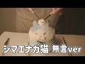 シマエナガ猫のぬいぐるみに耳かきしてみた (Notalking ASMR)