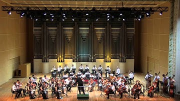 CAYO Rosыini La gazza ladra