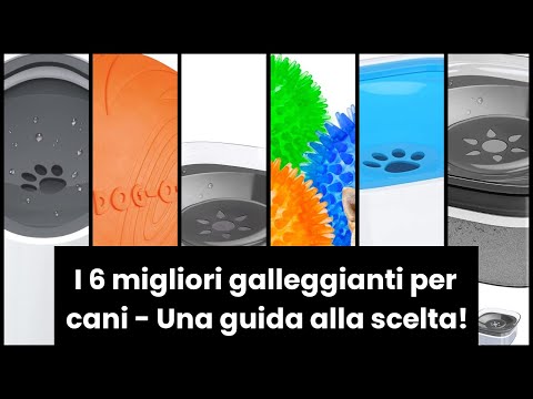 Video: Come scegliere il miglior erogatore di acqua per cani