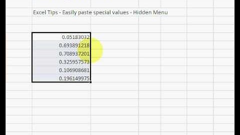 ExcelExperts.com - Excel Tips Easily paste special values Hidden Menu