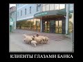 ВСКРЫТЫ СПИСКИ РОССИЯН, У КОГО ОПГ БУДЕТ ПЛАНОВО ОТНИМАТЬ НАСЛЕДСТВО: ДЕНЬГИ, КВАРТИРЫ, ЗЕМЛЮ,АКЦИИ?