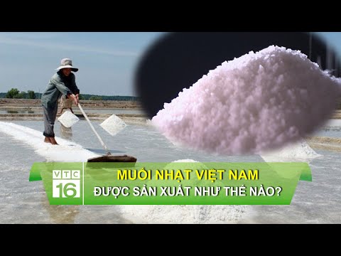 Video Muối nhạt Việt Nam được sản xuất như thế nào? | VTC16 - youtube