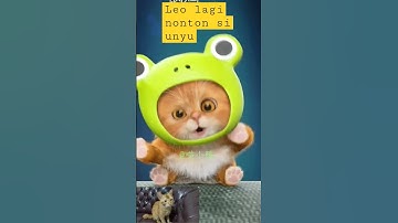 Thumbnail of kucing aku namanya leo suka nonton ini gays #funny #shortvideo