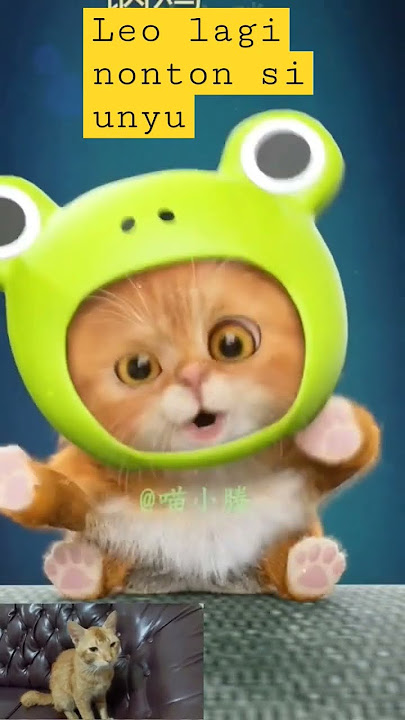 Leo Leo #funny #shorts @Papahsyambung