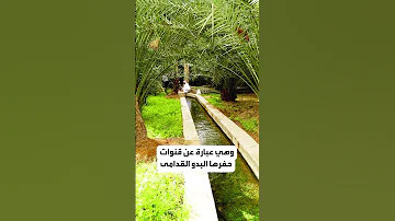 قصة واحة العين في أبو ظبي الإماراتية 