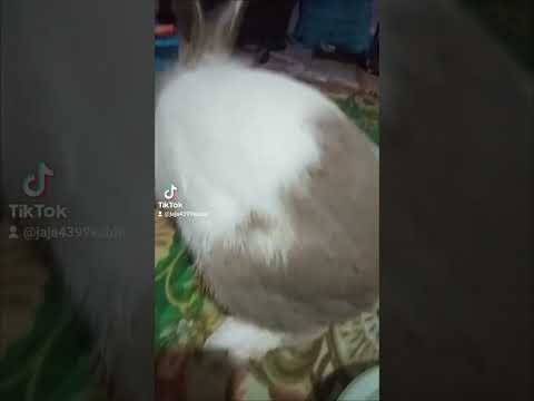 ผลสลากกินแบ่งรัฐบาล วันที่ 1 พย. 2567