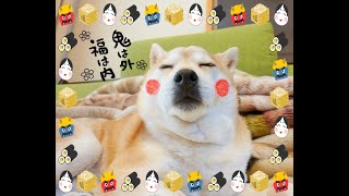 柴犬と誰?節分の鬼さん役