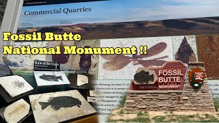 Fossil Butte National Monument!! Where the FOSSILS Tell A Story! #travel #fossil #fossils #fun