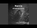 The Door In The Air From The Chronicles Of Narnia Prince Caspian