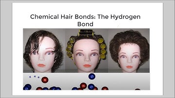 Chemical Hair Bonds: The Hydrogen Bond
