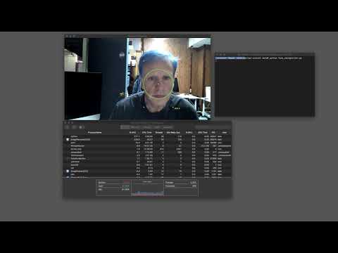 Face recognition program in Python using OpenVINO on macOS using CPU