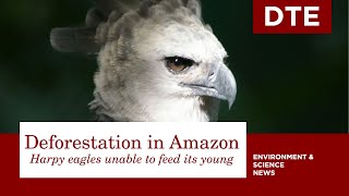 Iowa Department of Natural Resources - MYTH or TRUTH: An eagle can turn its  head 360 degrees. ANSWER: An eagle can rotate its head about 180 degrees in  each direction! So if