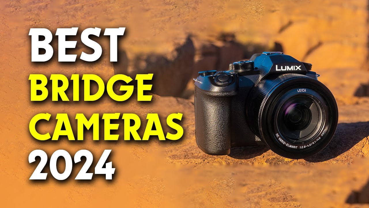 The Best Bridge Cameras for 2024