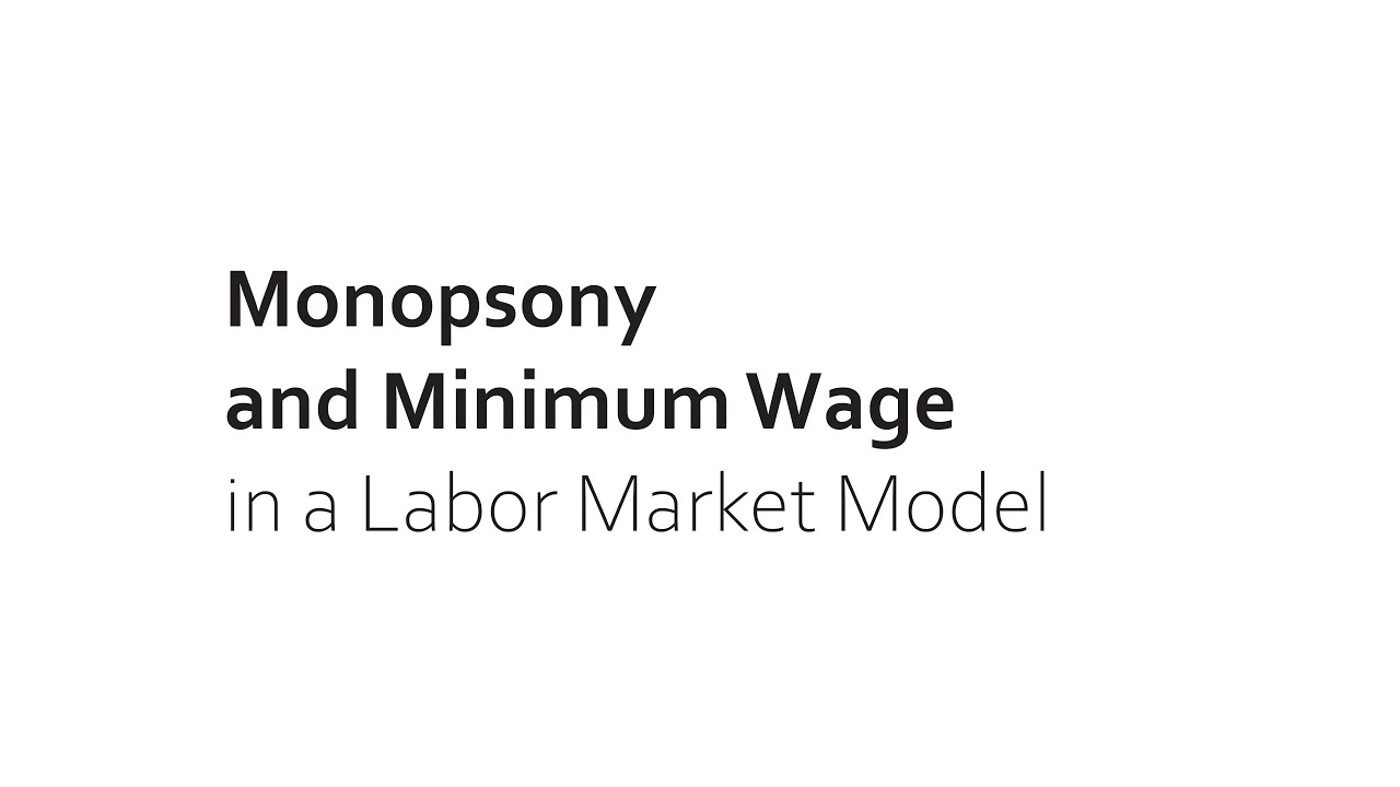 Monopsony and Minimum Wage in a Labor Market Model - YouTube