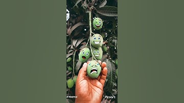 #facts #are you looking for 3D JavaScript Charts #facts