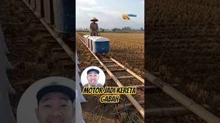 VIRAL! Kakek Ini Bikin Kereta Gabah untuk Angkut Padi dari Sawah!