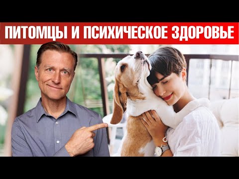 Как домашние питомцы влияют на наше душевное здоровье?😻