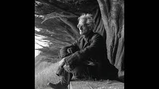 From the Archives: John Lilly and the Quest for Satori (1971)