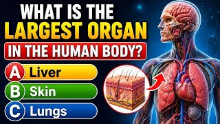 Can You Score 30/30 🧠 Human Body Quiz | Test Your Anatomy Knowledge!