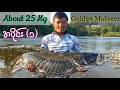 Golden Mahseer Fishing in Kachin State #fishingvideo #lurefishing #outdoorlife #mahseer
