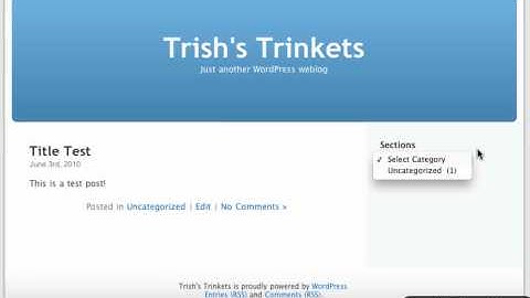 WordPress Tutorial: Working with Widgets